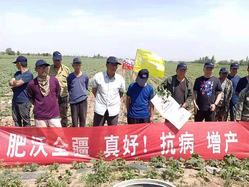 實驗基地
